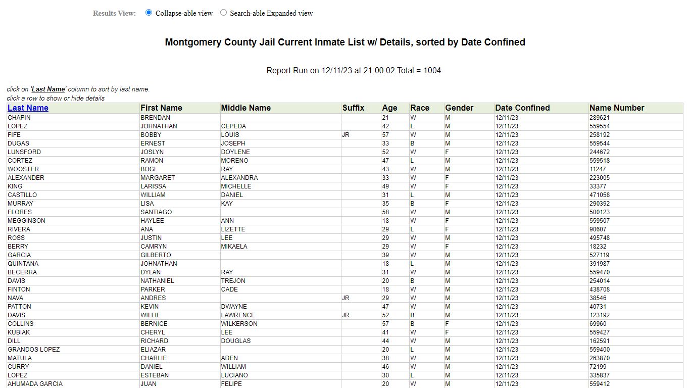 Jail Roster
